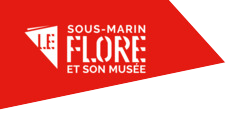 Le sous-marin Flore-S645